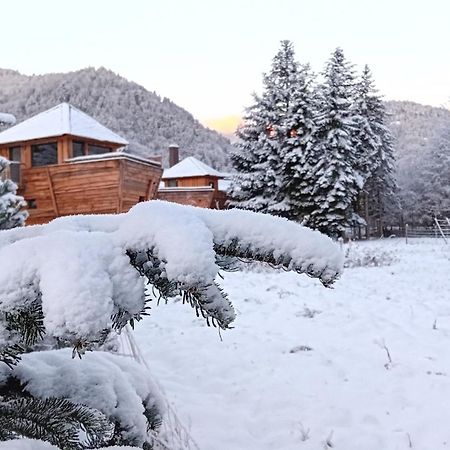 Hotel Escale Cab'Ane Mittlach Zewnętrze zdjęcie